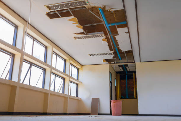 Reliable Big River, CA Water damage restoration Solutions