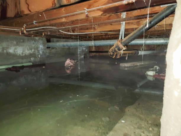 Best Basement water damage restoration  in Big River, CA