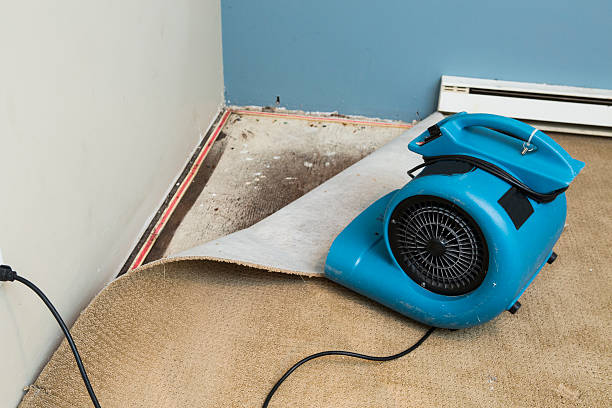 Best Water damage restoration near me  in Big River, CA